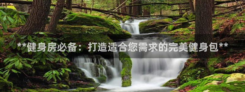 龙八国际娱