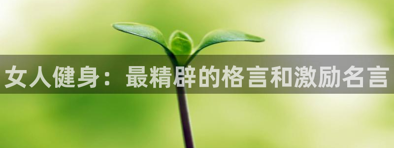 龙8国际官网版玩法