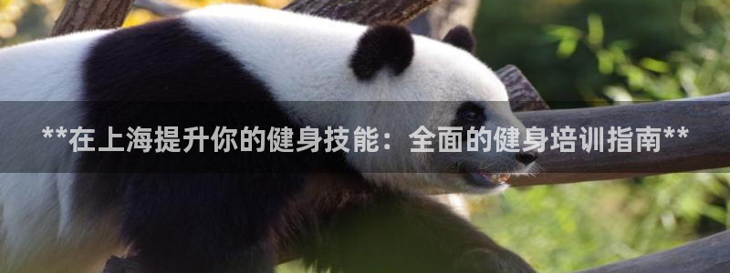龙八国际网页登录