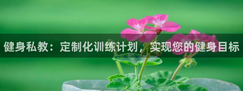 龙8国际是什么