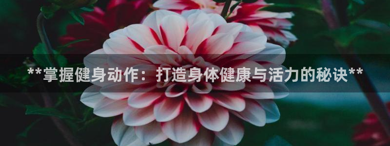 龙8国际官方下载