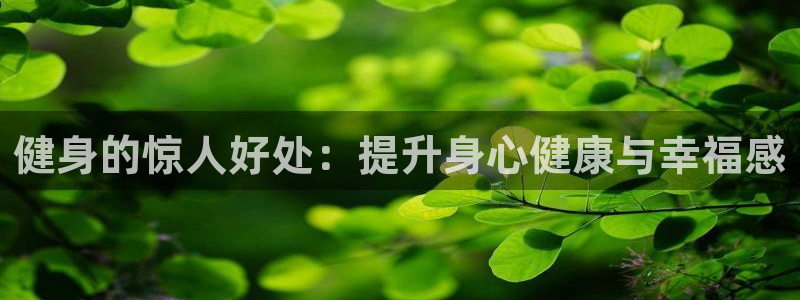 龙8国际开户