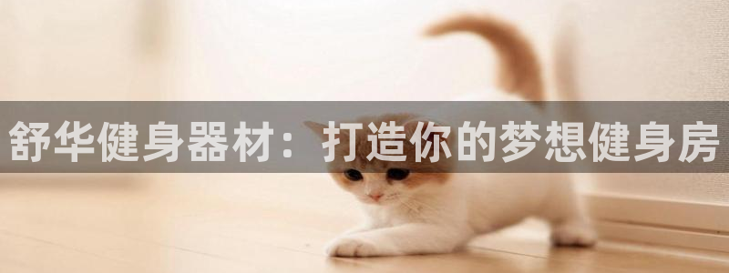 龙8国际电子游戏