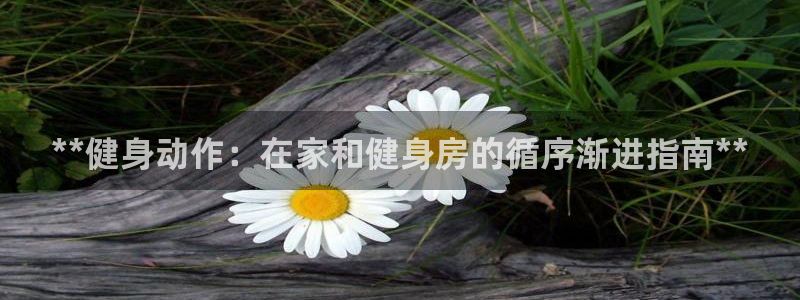 龙8游戏国际登录