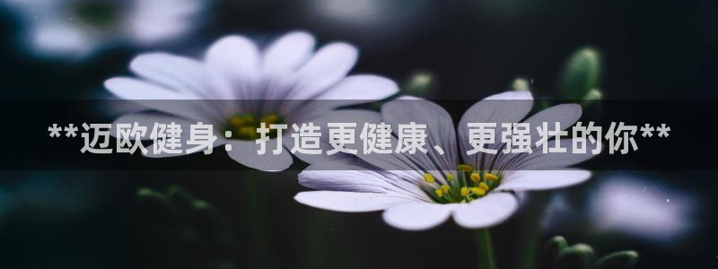 龙8游戏平台老虎机