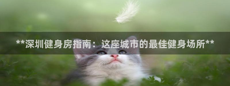 龙8游戏客户端