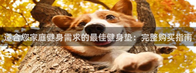 龙8游戏官方网站z