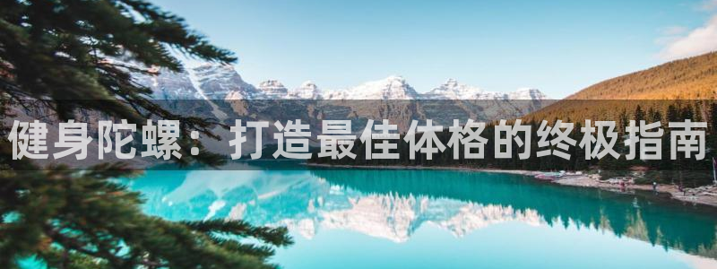龙八国际服官网入口