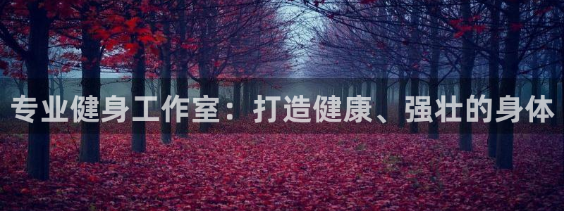 龙8国际正规吗