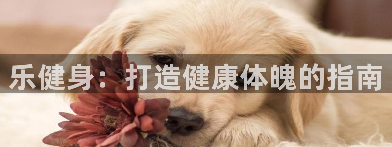 龙8国际手机官网下载安装