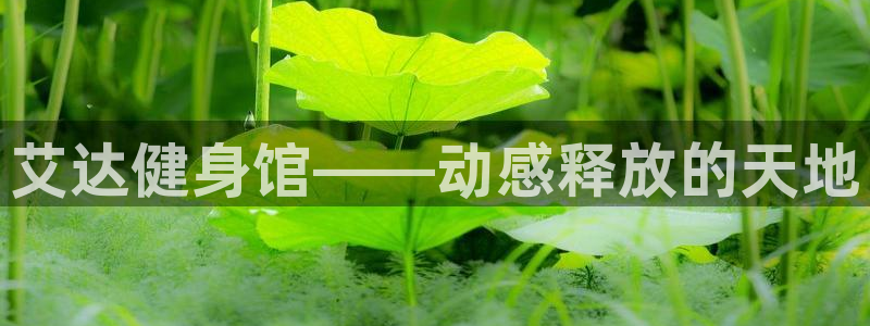 国际龙8官网pt客户端