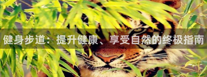国际龙8官网pt客户端下载
