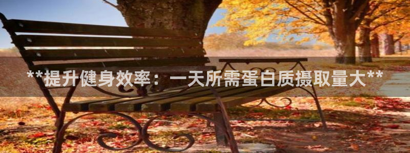 龙8国际城