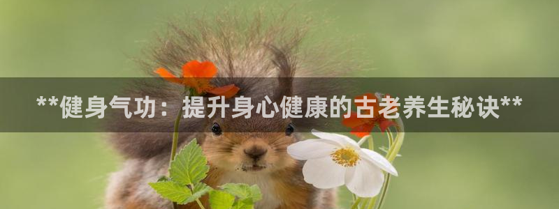 龙8国际平台官网
