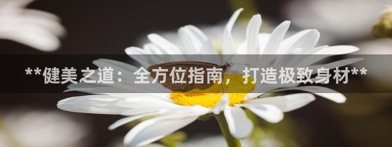 龙8游戏平台官方网站是多少