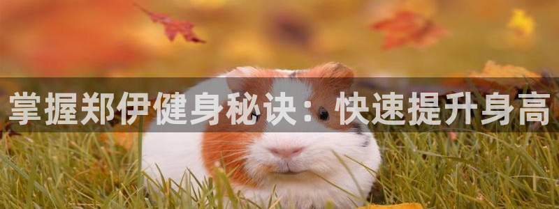 龙8国际游戏官网