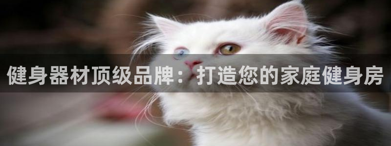 龙8国际手机游戏官网