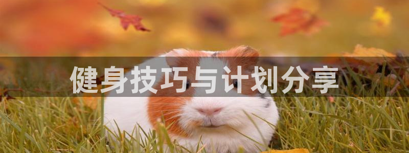 龙8游戏官方进入