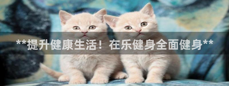 龙8国际long8官方版下载