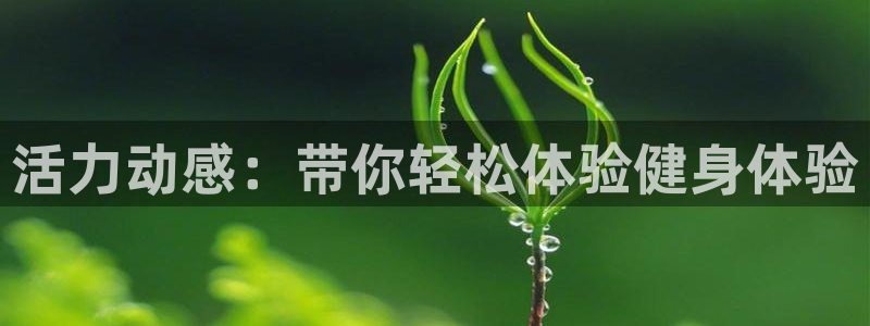 龙八国际app下载客户端