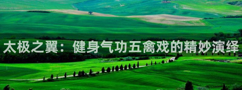 龙8国际官方网站手机版下载