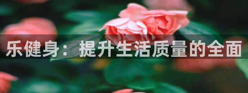 龙8国际是什么平台