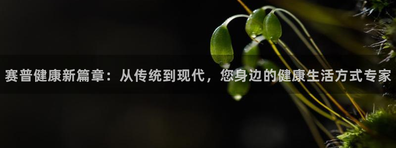 龙八国际2018最新官网