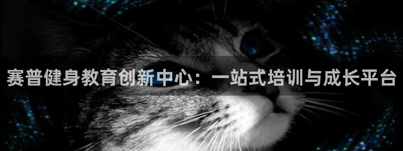 龙8国际游戏官方网站