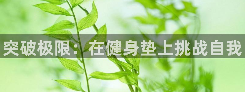 龙8官网老虎机游戏主页