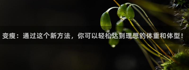 龙8老虎机游戏网站多少