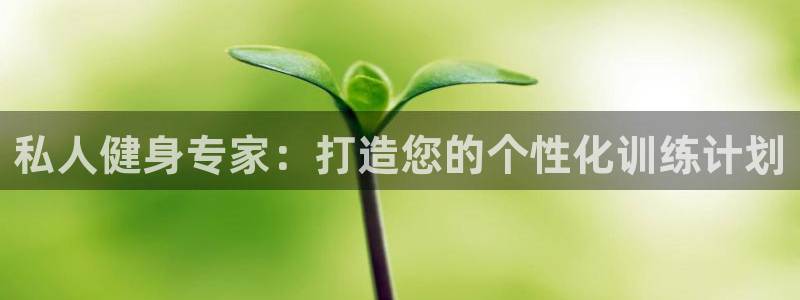 国际龙8官方网站