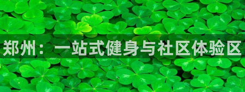 龙8国际官方网站手机版